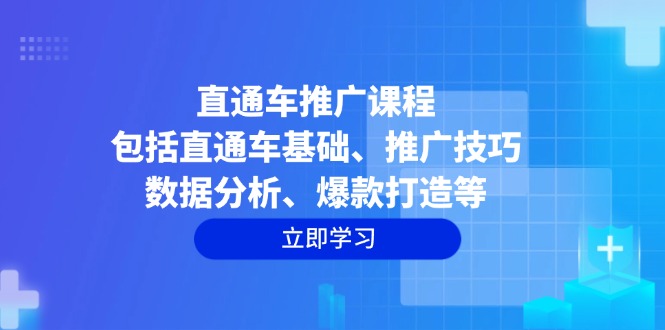 直通车推广课程：包括直通车基础、推广技巧、数据分析、爆款打造等-阿瑞网创