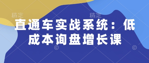 直通车实战系统：低成本询盘增长课，让个人通过技能实现升职加薪，让企业低成本获客，订单源源不断-阿瑞网创