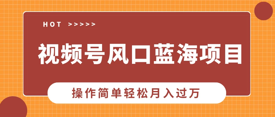 视频号风口蓝海项目，中老年人的流量密码，操作简单轻松月入过万-阿瑞网创